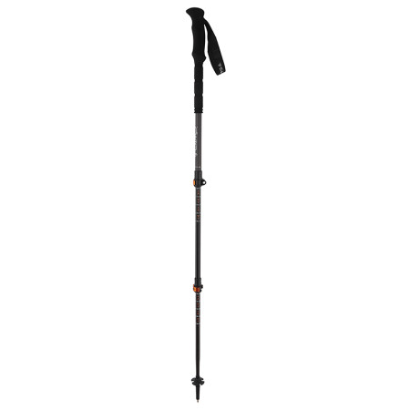 Bastoncini da trekking Camp Backcountry Pro 2