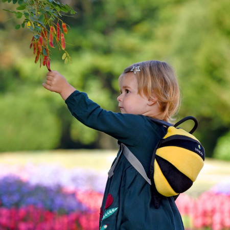 Zaino bambino LittleLife Toddler Bee