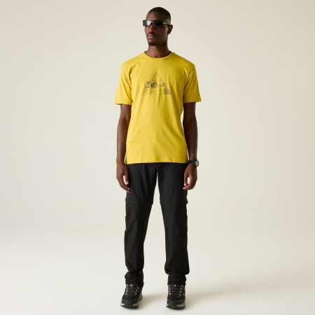 Maglietta da uomo Dare 2b Movement III Tee