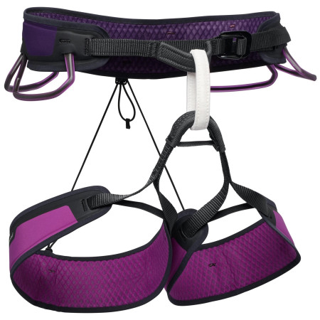 Imbracatura da arrampicata Black Diamond M Zone Harness nero/viola Piton Purple (5022)
