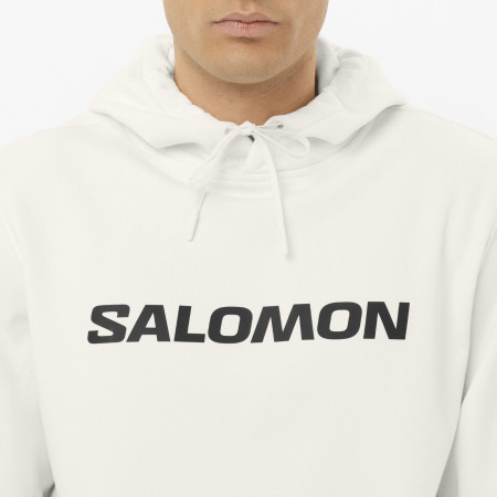 Felpa da uomo Salomon Logo Hoodie M