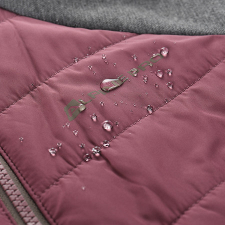 Felpa tecnica da donna Alpine Pro Jorwa 2