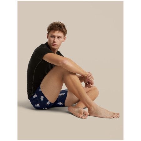 Boxer sportivi da uomo Icebreaker Men M 150 Anatomica Boxers BearTourAOP