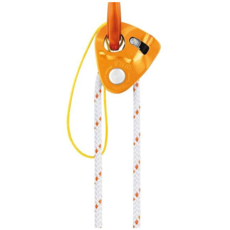 Puleggia Petzl Nano Traxion