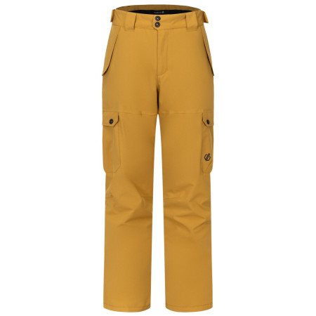 Pantaloni da uomo Dare 2b Baseplate Insulated Pant marrone chiaro Wood Brown