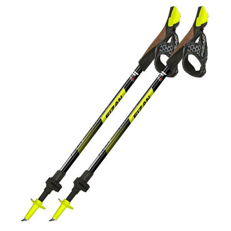 Bastoncini da nordic walking Fizan R-Evolution