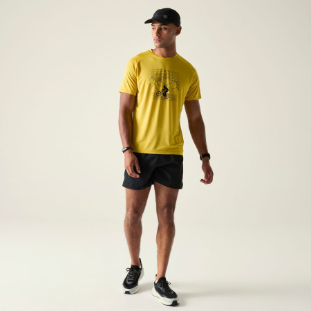 Maglietta da uomo Dare 2b Tech II Tee