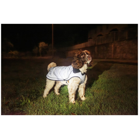 Impermeabili per cani Mountain Paws Reflective Fleece-Lined Dog Raincoat