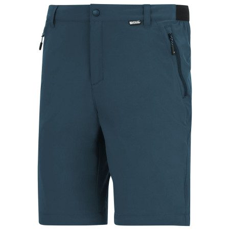 Pantaloni da uomo Regatta Anti-Insect Travel Light Z/O Trousers