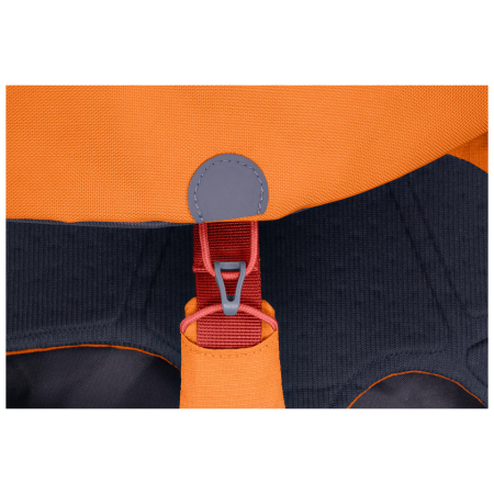 Zaini per cani Ruffwear Approach™ Pack