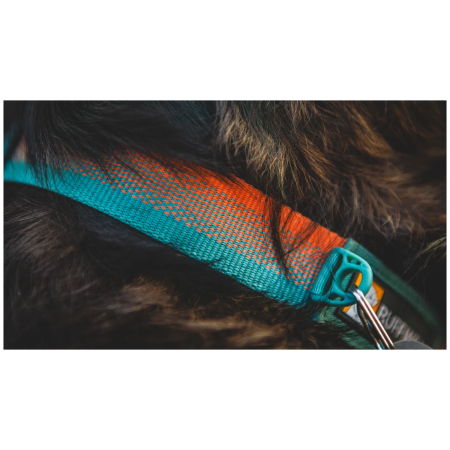 Collare per cane Ruffwear Front Range™ Collar