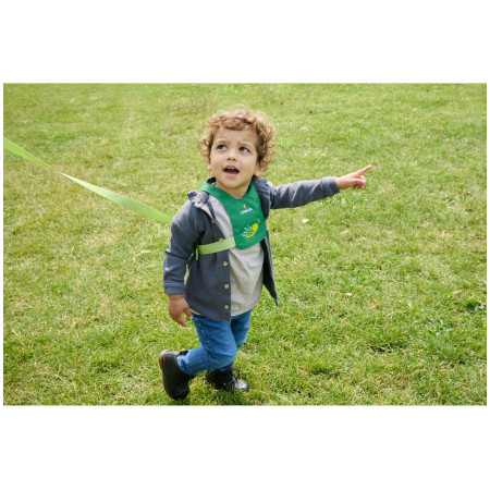 Redinelle di sicurezza LittleLife Toddler Reins Turtle