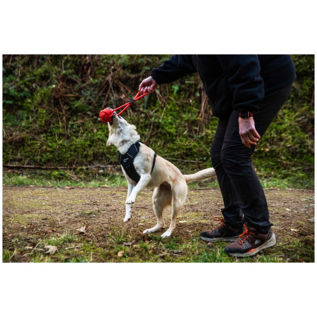 Giocattolo per cane Mountain Paws Ball Chew Rope Dog Toy