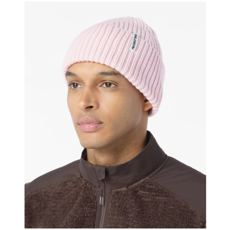 Berretto Salomon Snowbird Beanie U