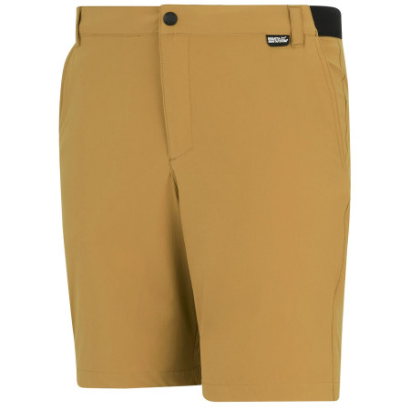Pantaloncini da uomo Regatta Anti-Insect Travel Light Shorts