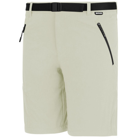 Pantaloni da uomo Regatta Xert Stretch Z/O Trousers