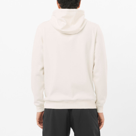 Felpa da uomo Salomon Logo Hoodie M