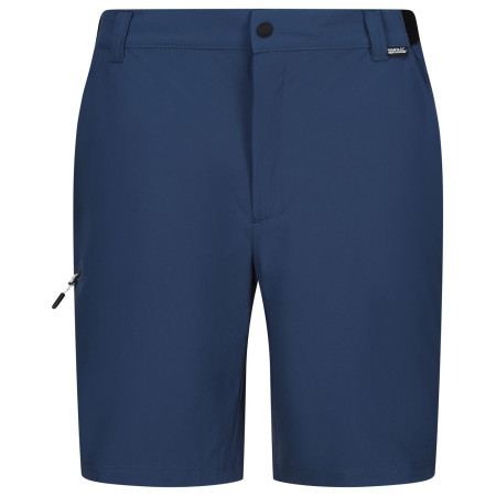 Pantaloncini da uomo Regatta Travel Light Packaway Shorts