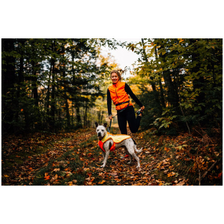 Pettorina riflettente per cane Ruffwear Lumenglow Hi-Viz Jacket