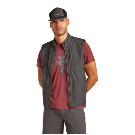 Maglietta funzionale da uomo Icebreaker M Mer Core SS Tee Tech Head