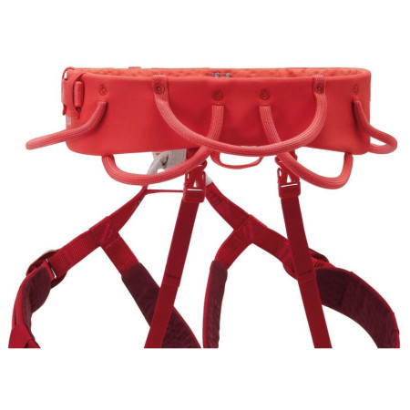 Imbracatura da arrampicata da donna Petzl Luna