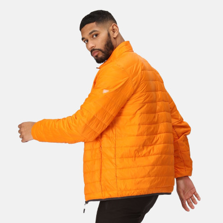 Giacca da uomo Regatta Hillpack