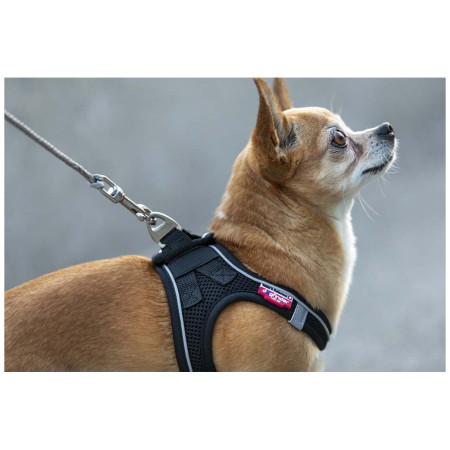 Guinzaglio per cane Curli Ultra Strong Pocket Leash