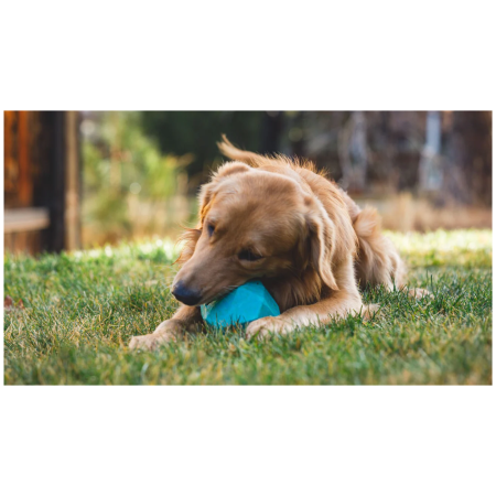 Giocattolo per cane Ruffwear Gnawt-a-Rock™ Toy