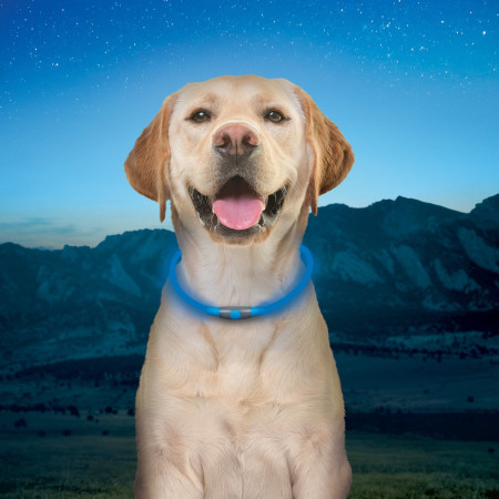 Collare luminoso per cane Nite Ize NiteHowl® Rechargeable LED Safety Necklace