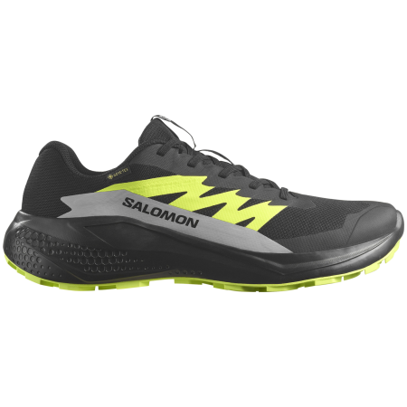 Scarpe da corsa da uomo Salomon Alphaglide Gore-Tex