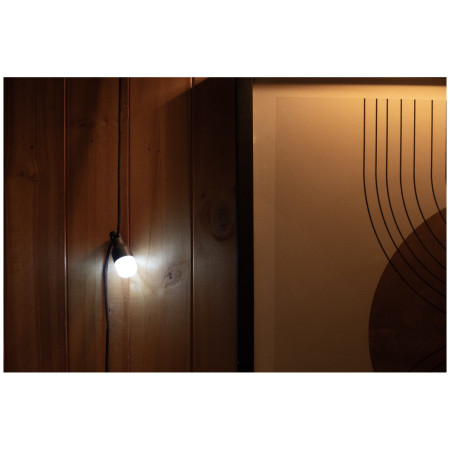 Set di luci BioLite Site Lights