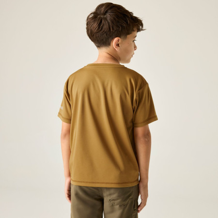 Maglietta da bambino Regatta Alvarado Wood Brown