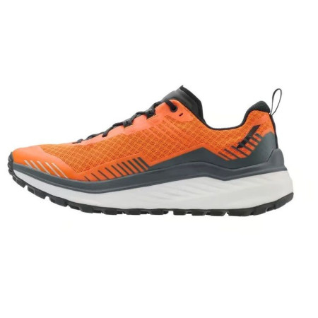 Scarpe da corsa Lowa Skyterra