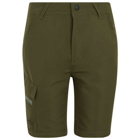 Pantaloni da bambino Regatta Sorcer Z/O Trousers III Treetop