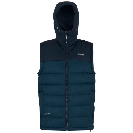Gilet da uomo Regatta Aldthorn B/W blu MnlgtDen/Nvy