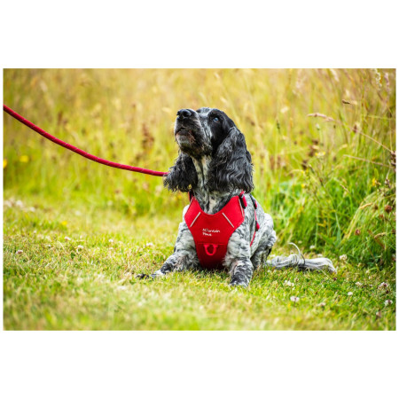 Pettorina per cane Mountain Paws Dog Harness