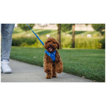 Guinzaglio per cane Ruffwear Front Range™ Leash