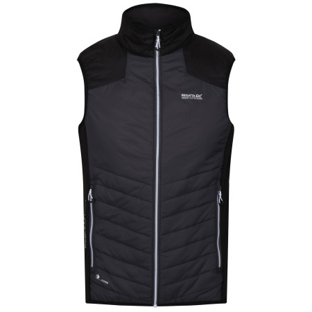Gilet da uomo Regatta Halton B/W VI nero DkGrey/Black