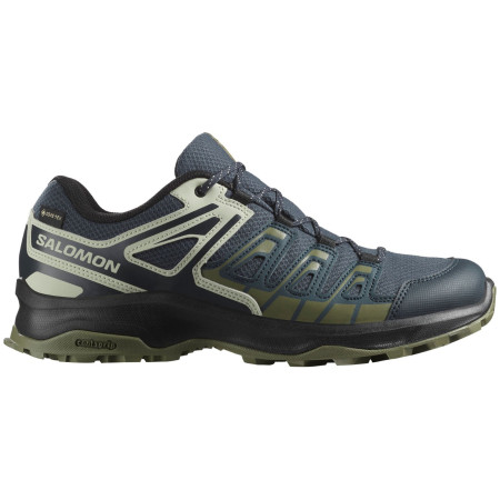 Scarpe da trekking da uomo Salomon Extegra Gore-Tex