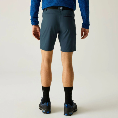 Pantaloncini da uomo Regatta Xert Stretch Shorts