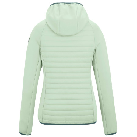 Giacca da donna Regatta Women’s Andreson Hybrid