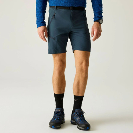 Pantaloncini da uomo Regatta Xert Stretch Shorts