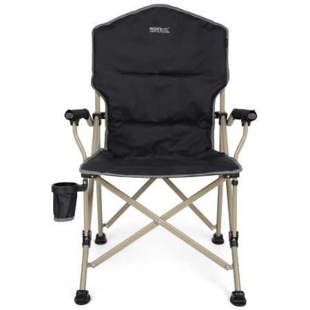Poltrona Regatta Forza II Chair grigio Ash