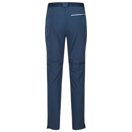 Pantaloni da uomo Regatta Mountain Z/O Trs