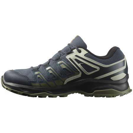 Scarpe da trekking da uomo Salomon Extegra Gore-Tex