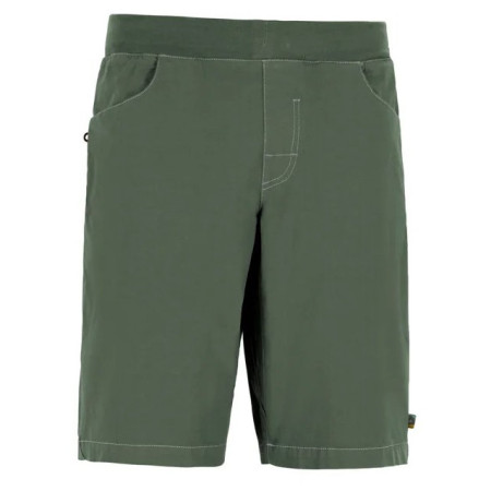 Pantaloncini da uomo E9 Trd Men's verde Agave