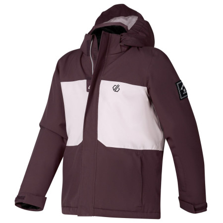 Giacca da bambino Dare 2b Send It II Jacket Hucklbr/PkHz