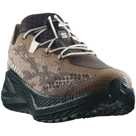 Scarpe da corsa da uomo Salomon Aero Glide 4 Grvl