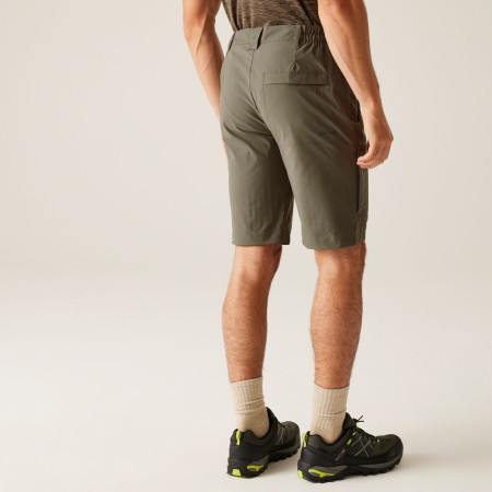 Pantaloncini da uomo Regatta Highton Shorts Long II