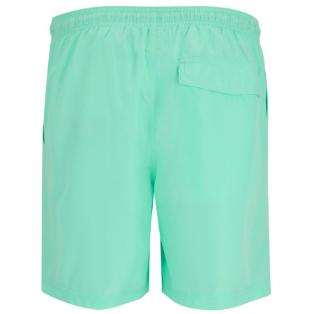 Pantaloncini da uomo Regatta Mackleyna Swim Short